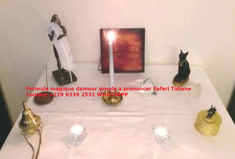 https://meilleur-marabout-retour-affectif-france.fr/, Maitre Marabout Safari Tidiane